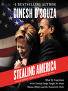 Cover image for Stealing America
